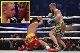 If fighting is what you live for then you need ufc fight pass, subscribe today. 16 Best Jake Paul Boxing Ideas Jake Paul Jake Paul