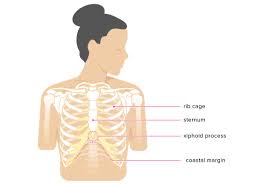 Hiatal Hernia Finger Test. | Synergy Wellness Nyc