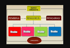 Contoh perusahaan perseorangan adalah perusahaan dagang (pd) atau usaha dagang (ud). Struktur Organisasi Koperasi Sekolah Simpan Pinjam Ukm Dan Tugasnya
