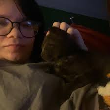 Have you seen my lost cat in Roscoe PA?