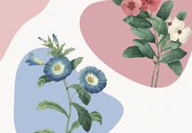 Dieser artikel wurde aufgrund von formalen oder inhaltlichen mängeln in der qualitätssicherung biologie zur verbesserung eingetragen. Sag S Durch Die Blume Fruhlingsbluher Und Deren Psychologische Wirkung