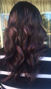 Purple Caramel Toned Color Highlights Purple Hair Highlights Brown Hair With Pink Highlights Hair Highlights