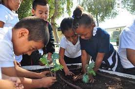 Kimbal Musk Is Changing The Food System One School Garden At A Time Civil Eats School Garden Food System Kids School