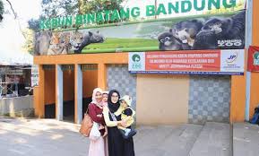 The zoo has an aviary and a primate centre, and employs over 450 people. Liburan Seru Ke Kebun Binatang Bandung Dengan Koleksi Satwa Lengkap