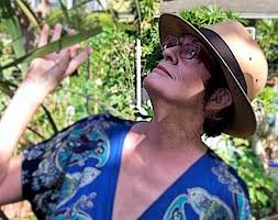 The Wild Rose Studio