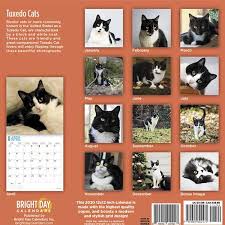 Collaborate for free with online versions of microsoft word, powerpoint, excel, and onenote. Cat Calendars 2020 Meowpassion