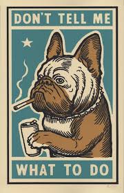 Dont Tell Me Print Dog Poster Matchbox Art Poster Prints