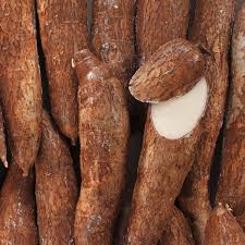 manioc