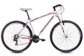 29 Zoll Mountainbike Chrisson Remover 1 0 Mit 21g Shimano Weiss Matt Mountainbikes Fahrrader Kcp Bikes