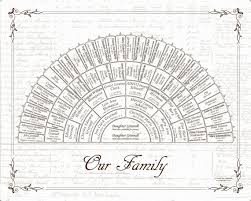 Custom Family Tree 16x20 6 Generation Fan Chart With Ship
