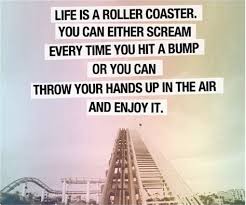 Image result for rollercoaster depression quote