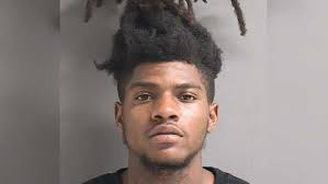 VIDEO: Driver rams into Volusia County deputy's car, sheriff's office says