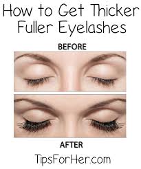 Interestingly, only about 15% of the lower eyelashes do grow at this stage it could actually take you about 1 to 6 months for all your eyelashes to grow back fully, whether they naturally fell out or were prematurely plucked. Tip For Thicker Eyelashes Do Eyelashes Grow Back Fake Eyelashes Eyelashes