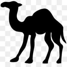 Cartoon camel isolated on white background. Christmas Black And White