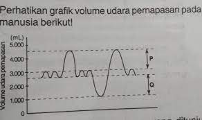 Laporan hasil praktikum mengukur udara pernapasan nama kelompok : Jenis Volume Udara Pernapasan Yang Ditunjuk Huruf P Dan Q Secara Berurutan Adalah A Volume Brainly Co Id