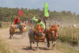 We did not find results for: Yuk Mengenal Berbagai Budaya Indonesia