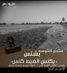 بالصور علاقة الشهور القبطية بالزراعة والجو أقوال مأثورة للشهور عن المصريين قديما Kntosa Com 03 18 154 Movie Posters Photo Lockscreen