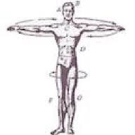 Hot Blooded Headstands Hairlosstalk Forums