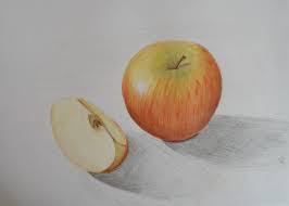 Apfel Stillleben Buntstifte Apfel Zeichnung Von Caro Bei Kunstnet