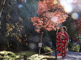 秋とわたしautumn and you this season is the best time for you who want to experience the grace of kimono ご予約はプロフィールのリンクから kimono instagram graceful