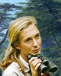 We at the Environmental Investigation Agency are very sad today to learn of  the passing of globally renowned primatologist and anthropologist Jane  Goodall. EIA Executive Director Mary Rice said: “A trailblazer in