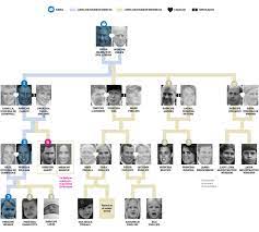 De publicatie arbol genealogico is samengesteld door carlos mesa posada (neem contact op). Bodareal Que Lugar Ocuparameghanmarkle En El Arbol Genealogico De La Familia Real Britanica Encontralo Aca Hola Argentina Scoopnest