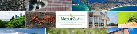 A wide variety of bug pest control options are available to you, such as specification, feature, and use. Doug Longfellow President Naturzone Pest Control Linkedin