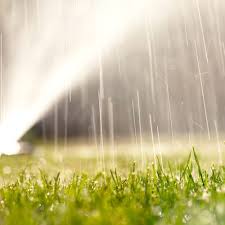 Do you want to take care of your lawn yourself? Texas Lawn Care How To Have A Healthy Yard Calloway S Nursery