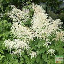 epingle sur le jardin se partage