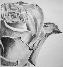 50 disegni da colorare disney facili pics from disegni belli facili , image source: Immagini Da Disegnare Facili Matita Bianco Nero Primo Piano Rosa Petali Compatti Molto Dettaglia Disegni A Matita Disegni A Carboncino Fiori Disegnati A Matita
