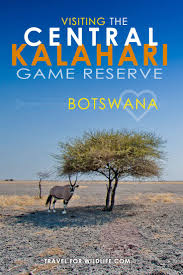 Traveling To The Central Kalahari Game Reserve Botswana Travel Africa Travel Guide Africa Adventure