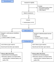 This is tutorial on the software needed for the cronus max plus and how to set it up on ps4 purchase here Influence Of An Exercise Program On Cardiac Remodeling And Functional Capacity In Patients With Stroke Cronus Trial Study Protocol For A Randomized Controlled Trial Trials Full Text