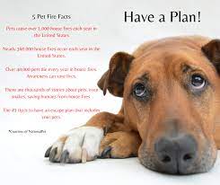 Pet medical center of katy's headquarters is located in katy, texas, usa 77494. Ixqzmwxgw3a31m
