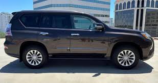 Image result for Satin Cashmere 2012 GX