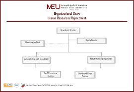 Organizational Structure Middle East University