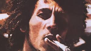 Steve Sterling: Películas, biografía y listas en MUBI