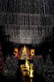 Oooooooooooo Lights Holiday Season Christmas Holiday Tours Longwood Gardens Christmas