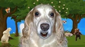 pin na doske malenkie sekrety