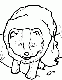 Simply gather up some tracing paper and print this cute baby arctic fox coloring page. Arctic Fox Coloring Pages Coloring Home