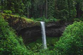 Tripadvisor checks up to 200 sites to help you find the lowest prices. Your Guide To Silver Falls State Park The Trail Of 10 Falls More