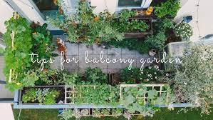 Check spelling or type a new query. 28 Essential Tips For Starting A Balcony Vegetable Garden Urban Gardening Youtube