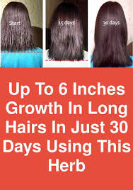 Long hair requires extra tlc as it is more prone to tangles, dryness, damage, and discoloration than shorter. Up To 6 Inches Growth In Long Hairs In Just 30 Days Using This Herb Isn T It Amazing Up To 6 Inch Hair Growing Formula Long Hair Styles Make Hair Grow Faster