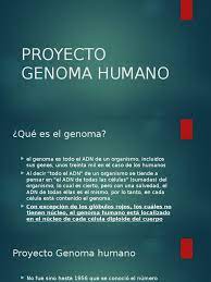 Check spelling or type a new query. Proyecto Genoma Humano Pdf Genoma Humano Adn