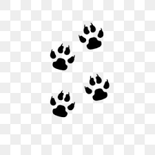 Animal Footprints Free Material Paw Clipart Footprints Animal Footprints Png Transparent Clipart Image And Psd File For Free Download Animal Footprints Paw Animal Clipart