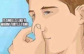 W What hat this car smell like LgeNe