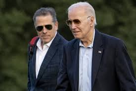 Image result for Bidens buchneri