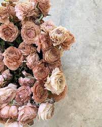 Are These Ranunculus Brown Or Rust Whatever You Call Them They Are Extreme Color Goals Floral Neutral Wedding Flowers Flower Decorations