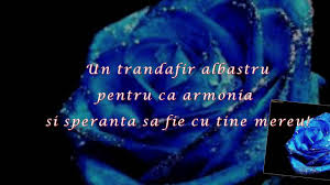 236 un trandafir frumos, mereu îşi schimbă faţa, dar o prietenă adevărată rămâne toată viaţa. Celin Dion Andrea Bocelli The Prayer La Multi Ani Om Frumos Youtube