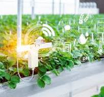 Horticultura | Soluciones inteligentes de control de ...