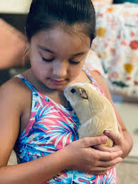 Scout's surgery update: stable vitals and appetite